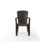 Liza Side Armchair