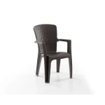 Liza Side Armchair - Image 2
